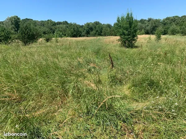 Location terrain Sainte Anastasie