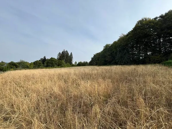 Terrain 2803 m²