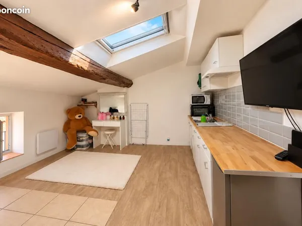 Appartement 1 pièce 12 m²