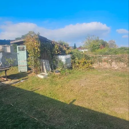 Jardin potager