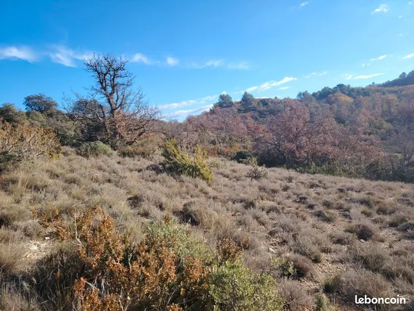 Location de terrain