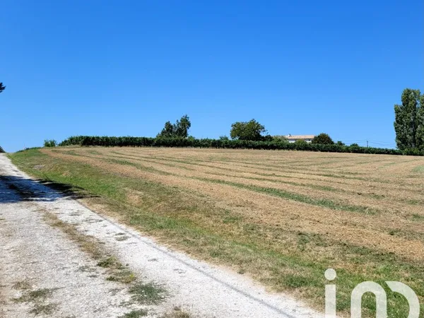 Terrain 2019 m²