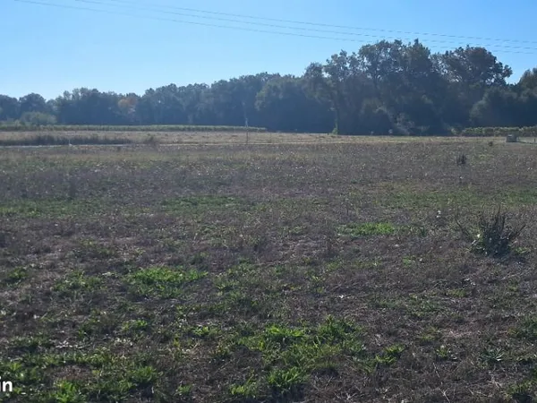 Terrain 1 471 m² Merignac