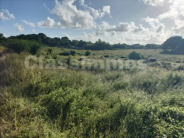 Terrain 600 m²