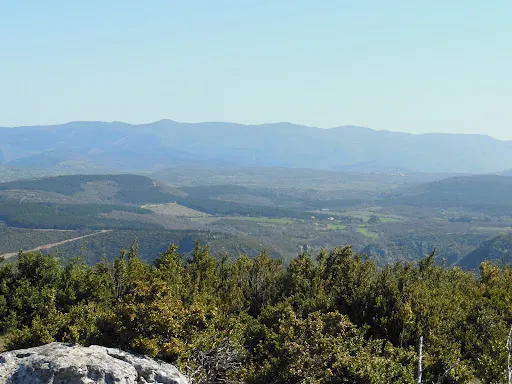 Propriété 1100 m²