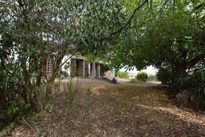 Photo 22