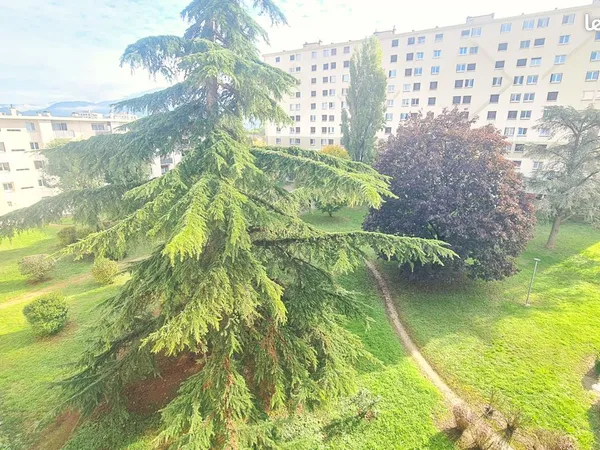 T4 dernier étage frange verte