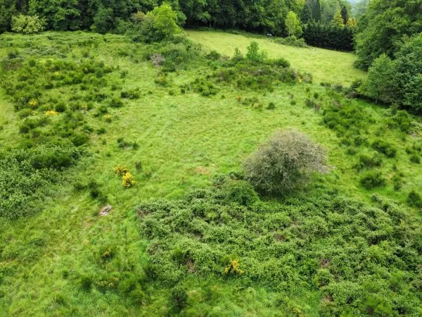 Terrain 6775 m²