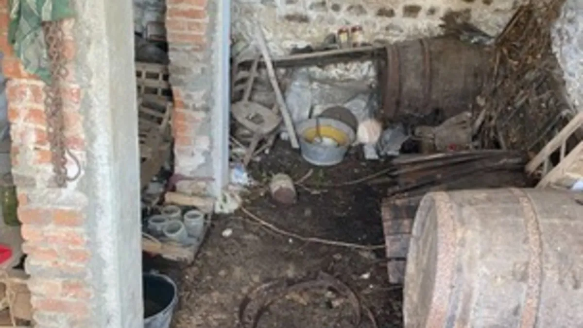 Photo 21