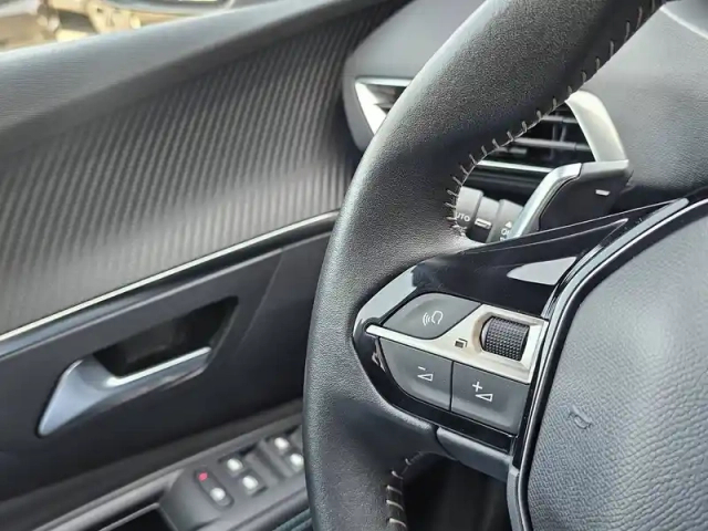 Peugeot 3008 phev hybrid 180 eat8 — photo 14