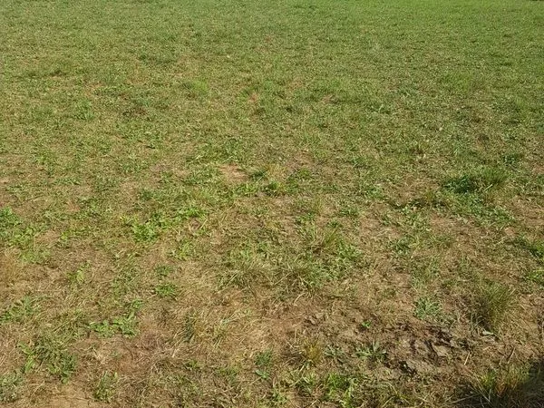 Vente exploitation agricole