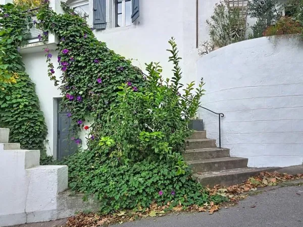 Agréable maison de village avec vue dégagée
