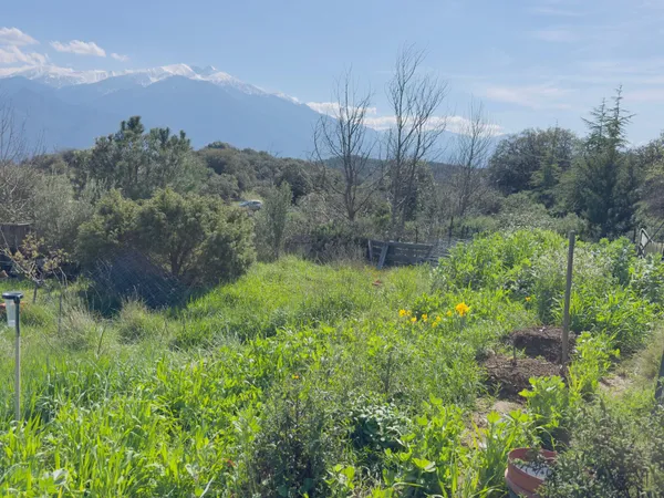 Terrain 6640 m²