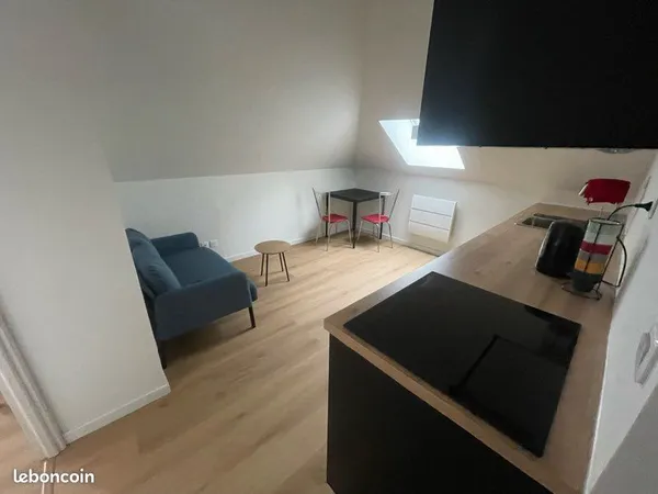 Beau T2 meublé et rénové