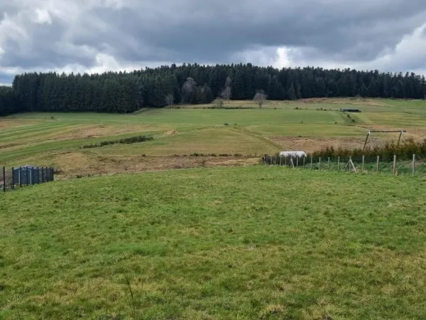 Terrain 1506 m²