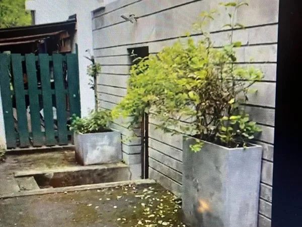 Propose chambre 18m² dans colocation - La Celle-Saint-Cloud