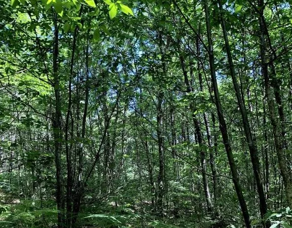 Terrain 10000 m²