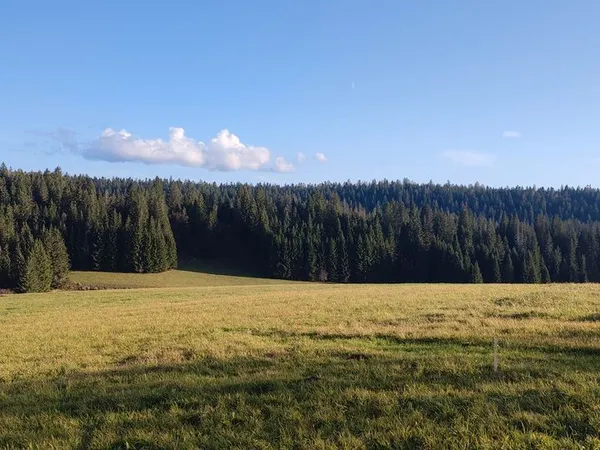 Terrain avec belle vue