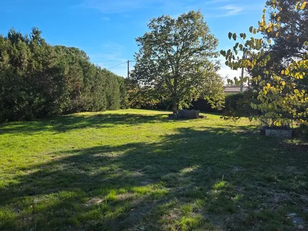 Terrain constructible