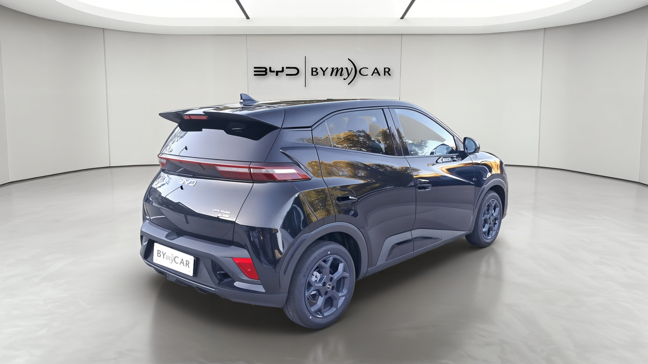 BYD Dolphin Surf 43.2 kWh 156 ch — photo 5