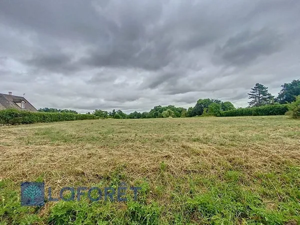 Terrain 9377 m²