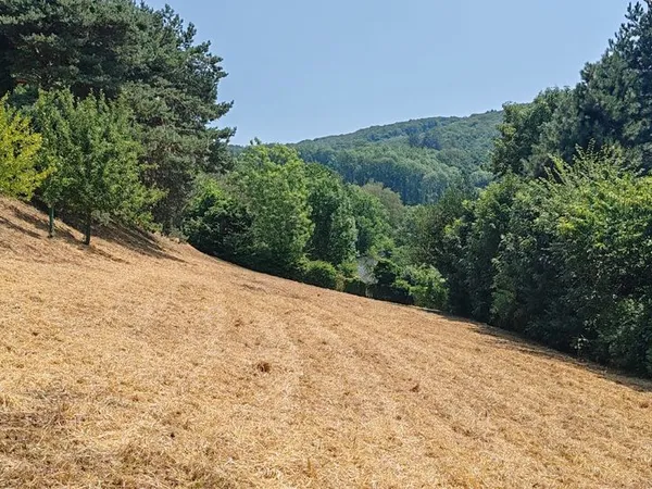 Terrain constructible de 2000 m² exposition sud-ouest