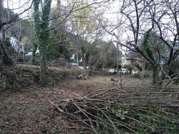 Terrain 1193 m²