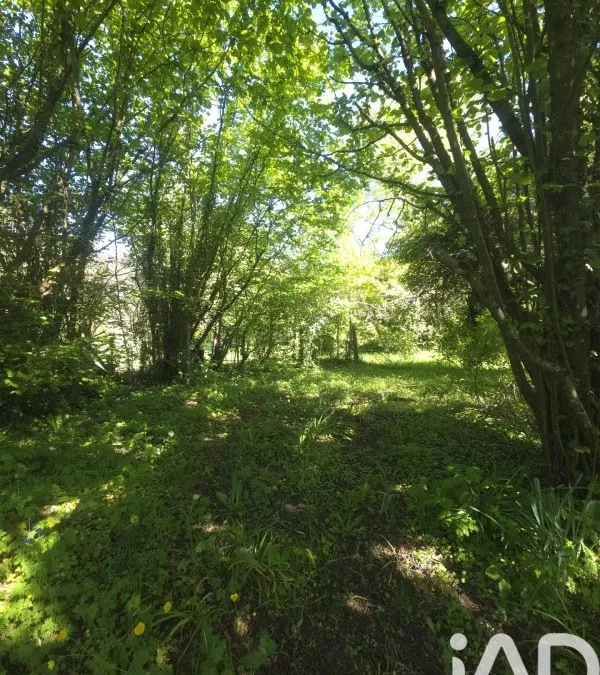 Photo 26