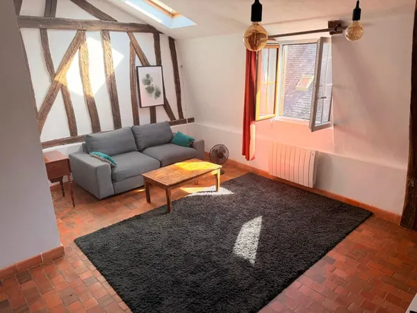 ESPRIT LOFT AU CŒUR HISTORIQUE DE TOURS APPARTEMENT T2 43,70 m²