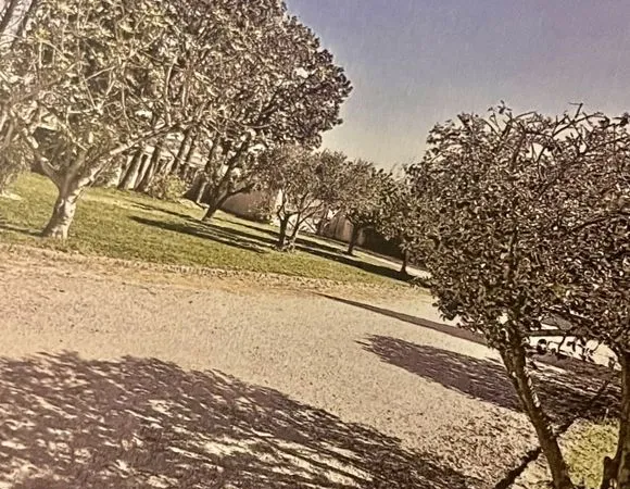 Terrain à bâtir de 500 m² à SENAS (13)