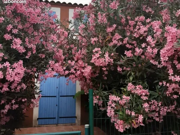 À louer - Charmante maison meublée F4 à Torreilles Plage - Location d'hiver