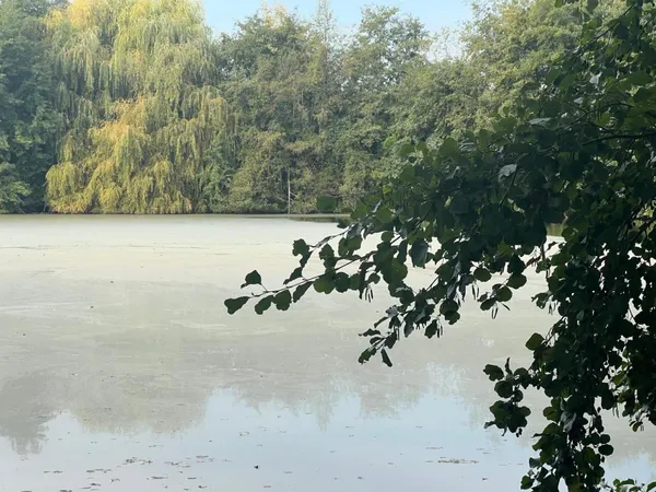 Magnifique plan d'eau à côté de l'Yonne!