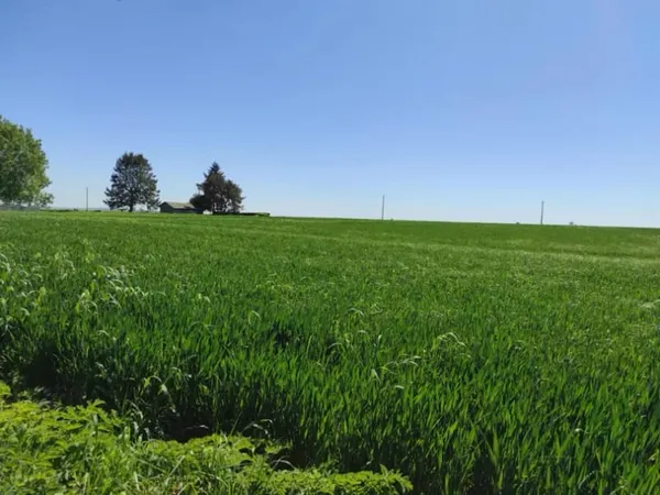 Terrain 100 m²