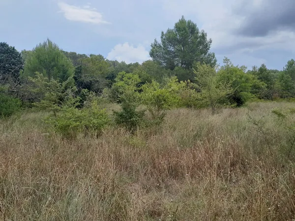Terrain 459 m²