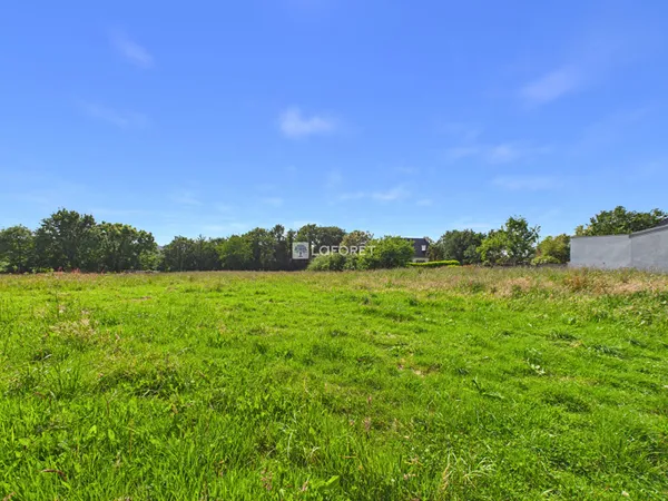 Terrain 2381 m²