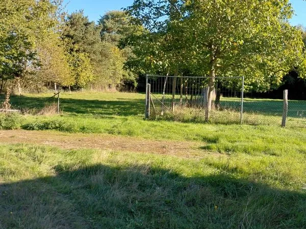 Terrain prairie