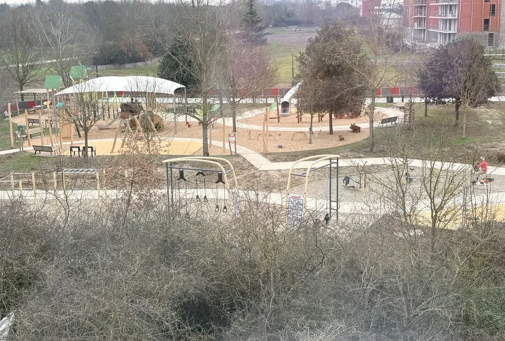Photo 8