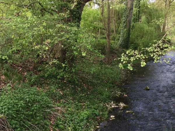 Lot de magnifiques terrains de loisir boisés et en bordure de rivière de 2390 m² en Seine-et-Marne à