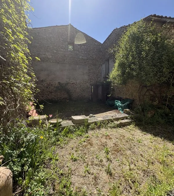Photo 20