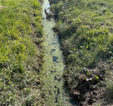 Terrain agricole