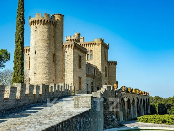 Exceptionnel Château 19ème - Vue panoramique et piscine