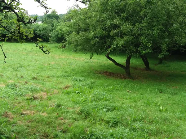 Terrain 469 m²