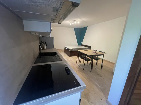 Appartement 1 pièce(s) 32 m2 meublé entièrement rénové