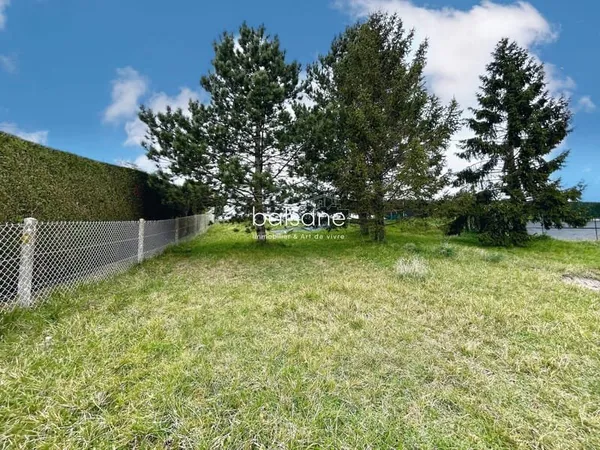 Terrain constructible Freuneuse