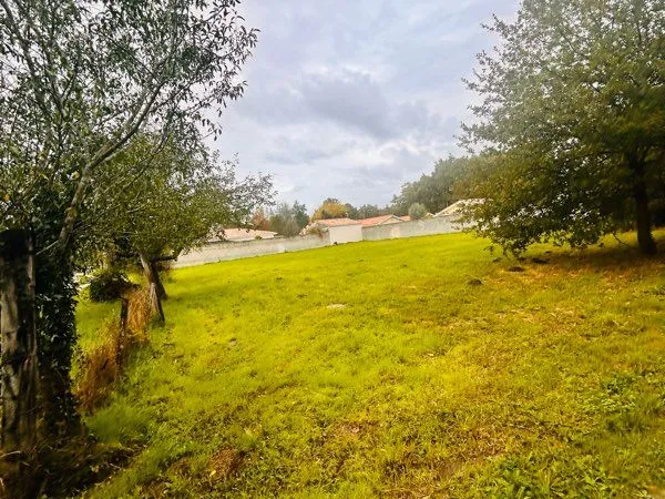 Terrain constructible