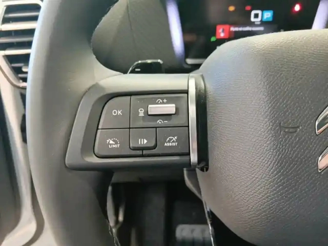 Citroën C4 bluehdi 130 eat8 — photo 18