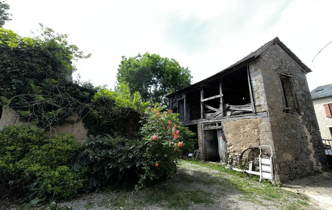 Photo 4