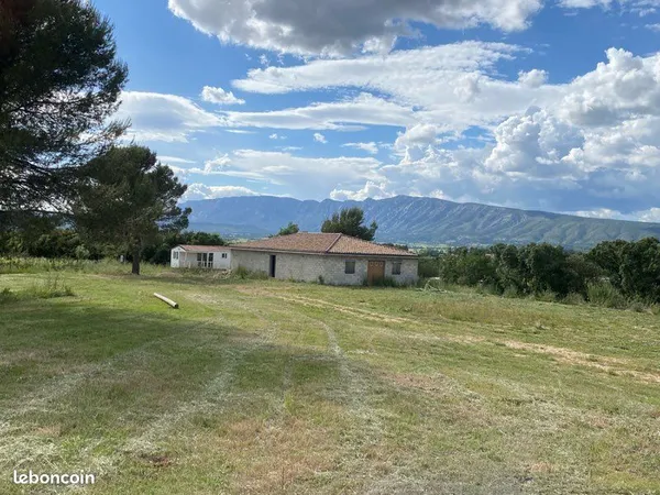 Centre équestre chevaux