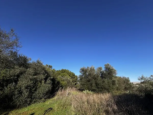 Terrain de loisir