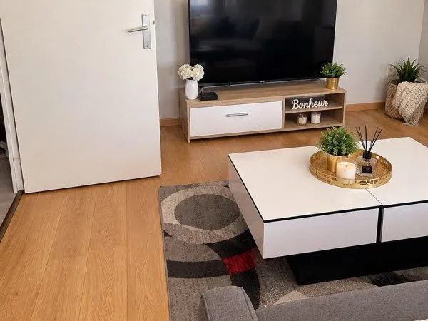 Sous-location appartement 37 m² - 600 / mois - disponible mi-novembre